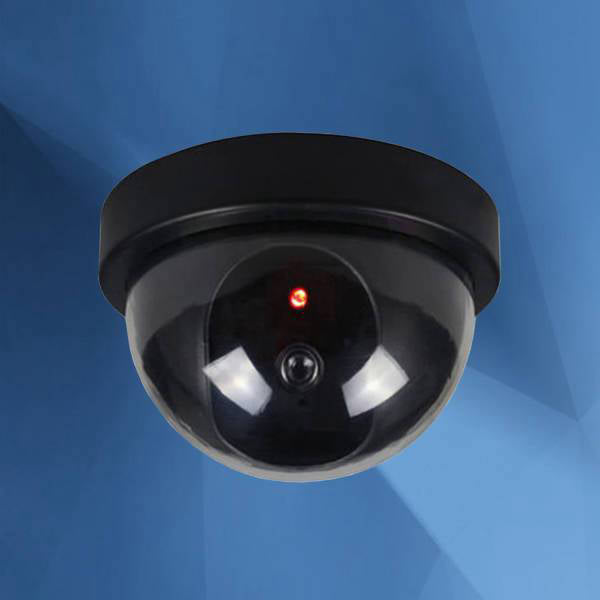 Remote security camera